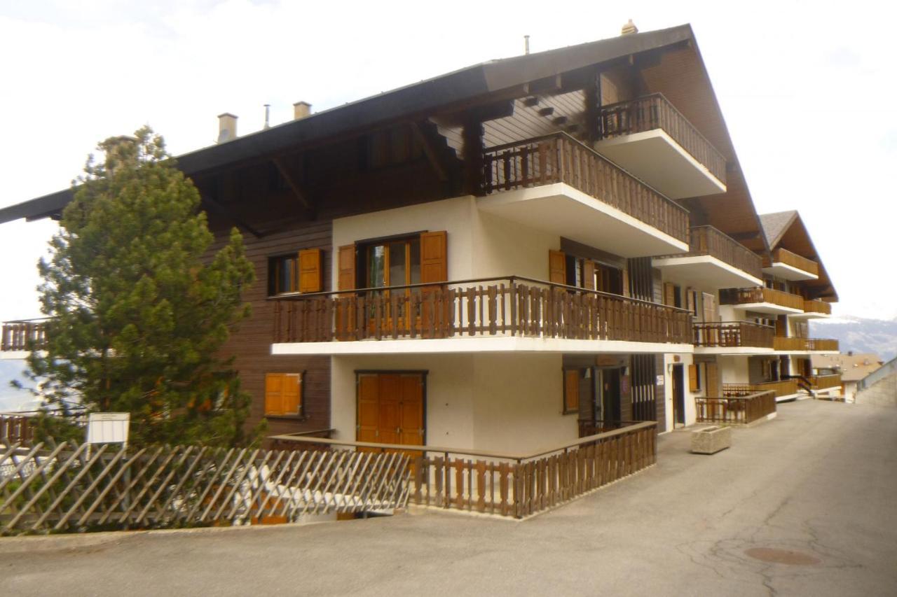 Greppons Cosy & Mountain Apartments By Alpvision Residences Veysonnaz Zewnętrze zdjęcie
